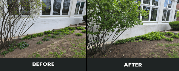 Masonry Before-after (1)