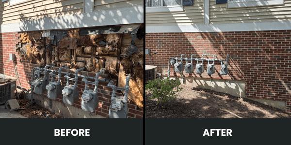 Panel Brick before and after